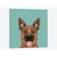 Berger allemand, impression sur toile tendue-19741807-74756195-74756196