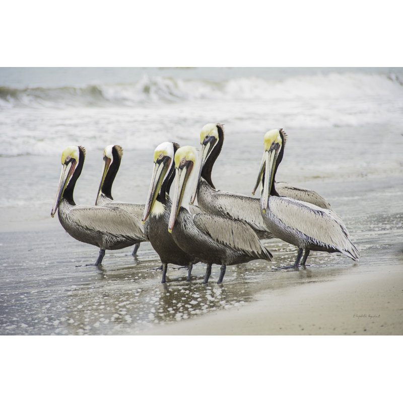 Pelican Group, surf, bord de mer, brun, brun clair, jaune, vagues, H 24 po x l 48 po x P 1,5 po