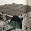Portable Cat-109011868