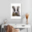 Portrait de blaireau Brampt-108479309
