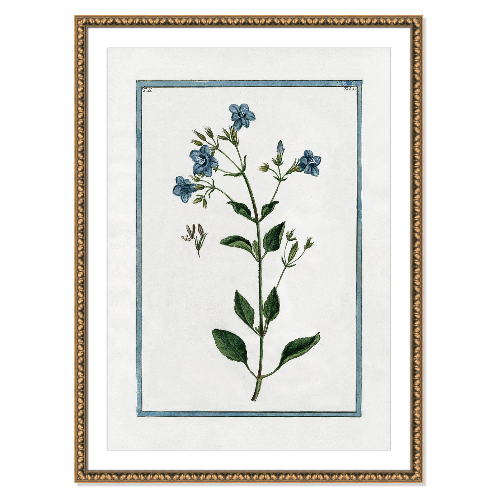 Shabby Elegance Botanical II - Framed Art, Gold Bead Framed, 30.5" W x 42.5" H