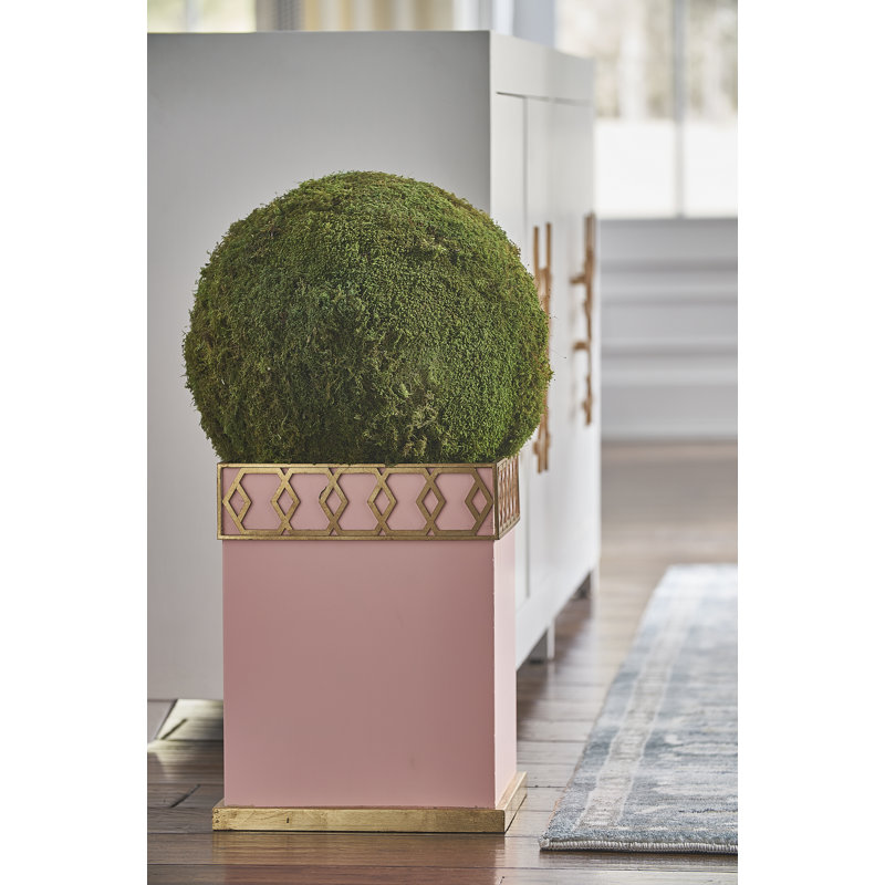 Metal Planter, Coral
