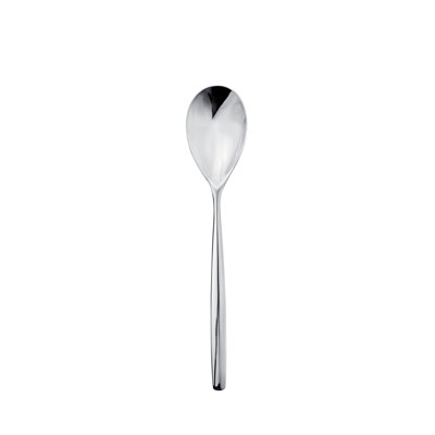 Stiria Stainless Steel Dinner Spoon