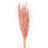 Vickerman 46" Dried Pampas Grass 46'' Grass