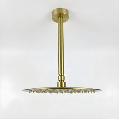 Pommeau de douche effet pluie 25,4 x 25,4 x 9,1 cm, acier inoxydable, monobloc, fini or brossé