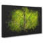 Lines Of The Leaf - Wrapped Canvas-56647535