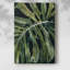 Nocturnal Monstera II