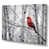 Toile tendue