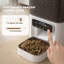 Automatic Feeder