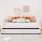 Twin Size Upholstered Daybed With Ergonomic Design Backrest And Trundle, Beige