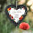 Ellett Poppy Step Ma Always on My Mind Memorial Plaque