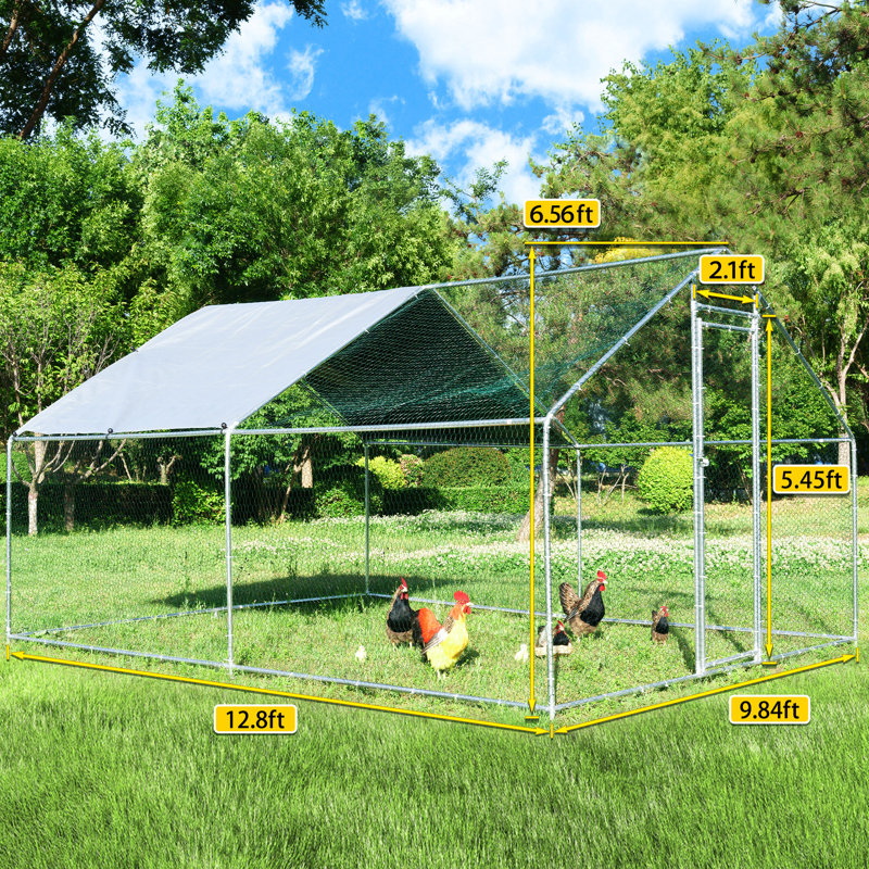 Chicken Run
