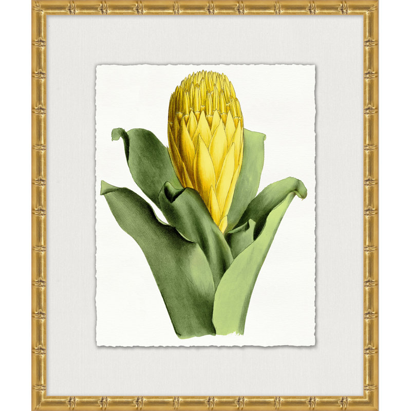 Sunny Botany 1 Painting