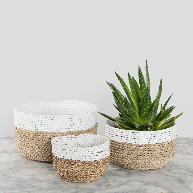 Bay Isle Home™ Seagrass Basket, White/Natural