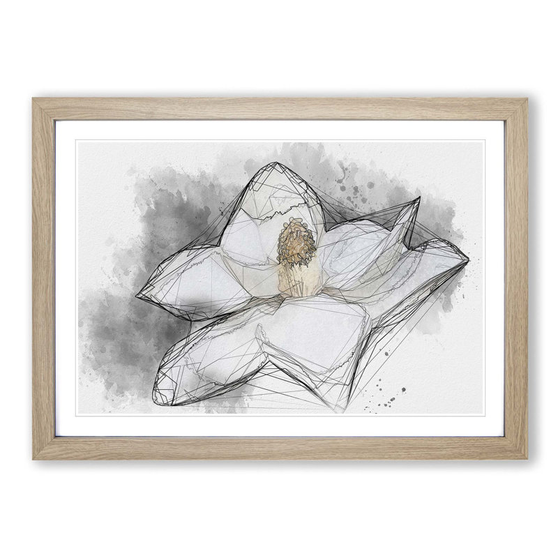 Blooming White Magnolia in Abstract - Picture Frame Drawing Print, 27cm H x 36cm W x 2cm D, Oak Framed