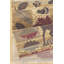 Tapis multicolore Nature's Nest-2107473547
