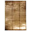 Area Rug in Brown