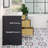 Didomenico 48" Double Bathroom Vanity Set