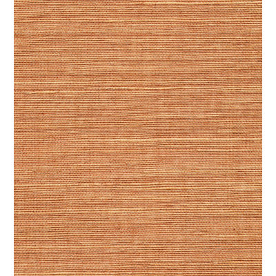Rouleau de papier peint en sisal biologique