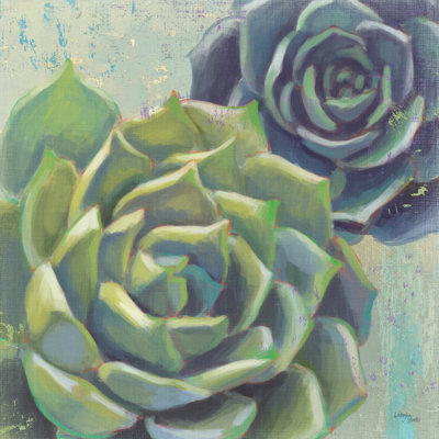 Succulents I Crop - Wrapped Canvas Painting
