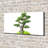 Bonsai Tree - Wrapped Canvas Print