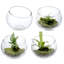 Bougeoirs décoratifs en verre 4 pièces Terrariums