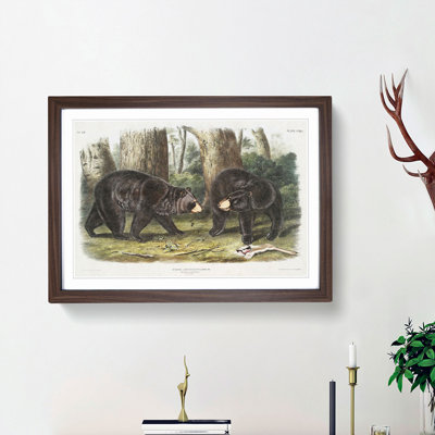 American Black Bears by J.W. Audubon - Single Picture Frame Painting
