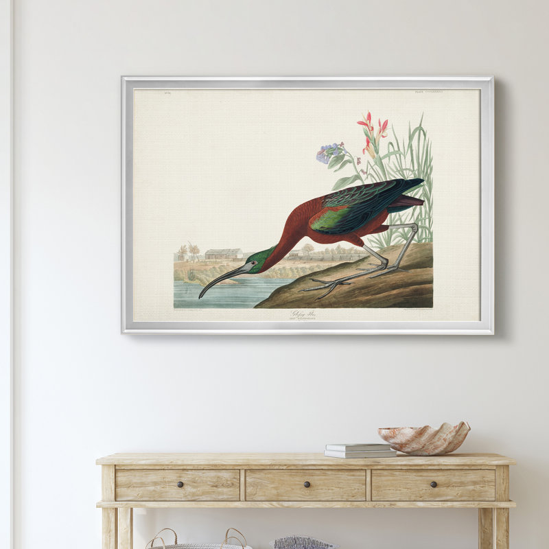 Glossy Ibis - Matted and Framed Under Acrylic Glass, Large Living Room Wall Art, 26.5" H x 36.5" W x 1.5" D, Silver