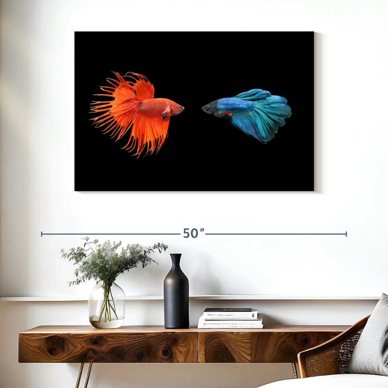 Brampt Betta Fish Meet, 26" H x 39" W