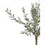 150cm Faux Tree in Cement Pot