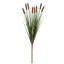Herbe 4 pièces cattail