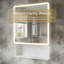 Armoire de toilette 19,69 "x 27,56" à DEL intelligente avec antibrouillard avec support de rangement, lumière chaude une couleur, désembueur à un bouton, rangement ouvert et fermé multicouche