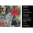 Bluetick Coonhound Christmas PoinsettIas Kitchen Towel-2080584009