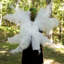 Ailes de costume de plumes d'autruche recyclées de taille moyenne - blanches