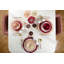 SALMON DINNER PLATE Set of 6-74344294