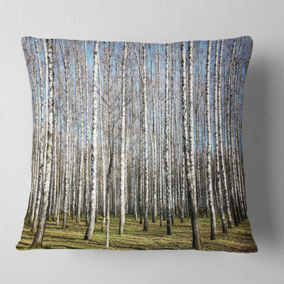 Sunny November Day in Birch Grow - Forest Printed Pillow