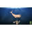 33'' H Metal Nautical & Beach Weathervane