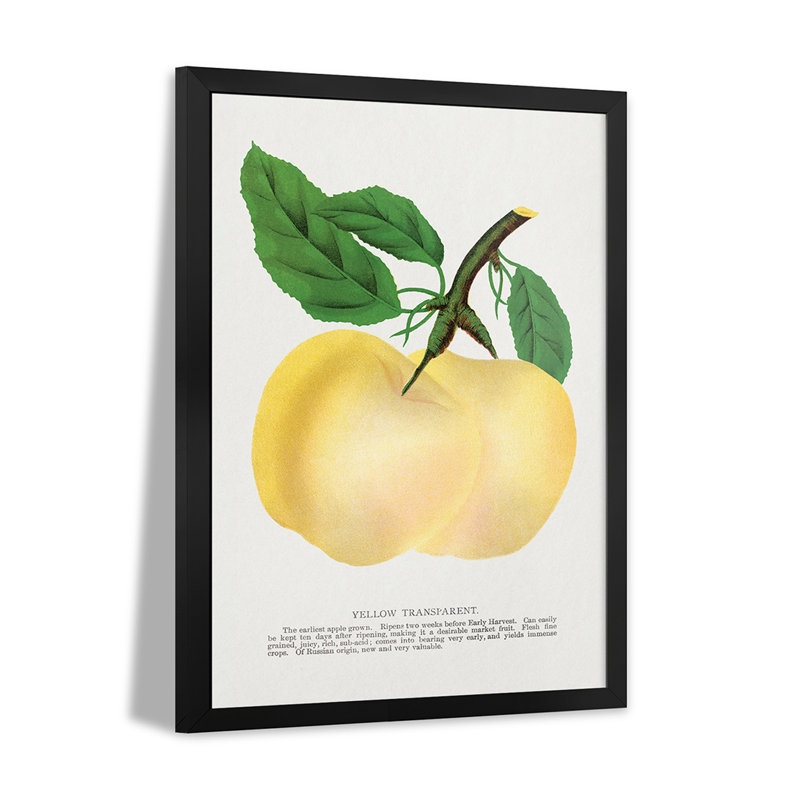 «Yellow Transparent Transparent Lithograph», reproduction d'art murale - affiche de galerie, H 32 po x l 24 po
