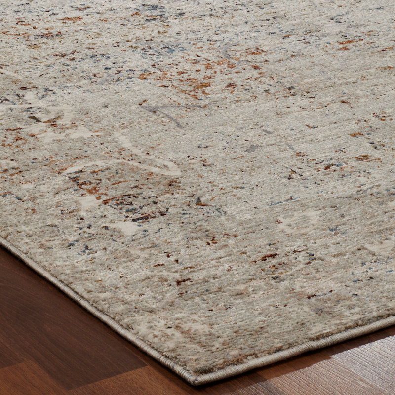 Area Rug in Gray, Rectangle 3'11" x 5'11"