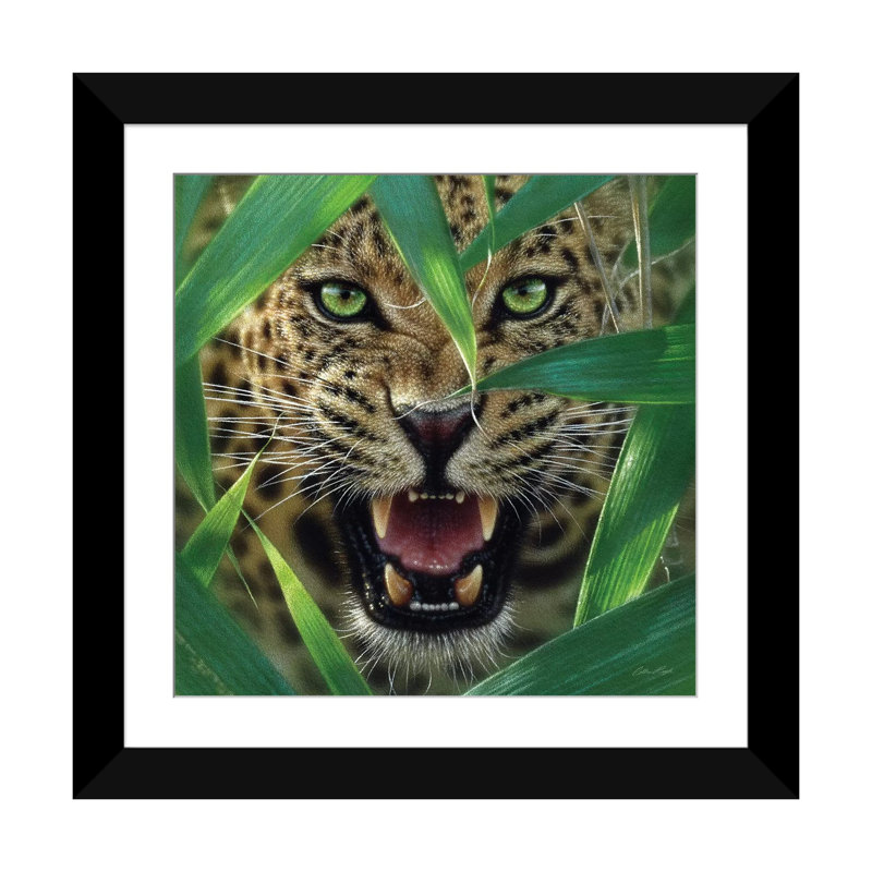 Jaguar embuscade, carré, Papier d'art encadré noir, Blanc, H 24 po x l 24 po x P 1 po