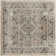 Jurado Oriental Beige/Gray Area Rug