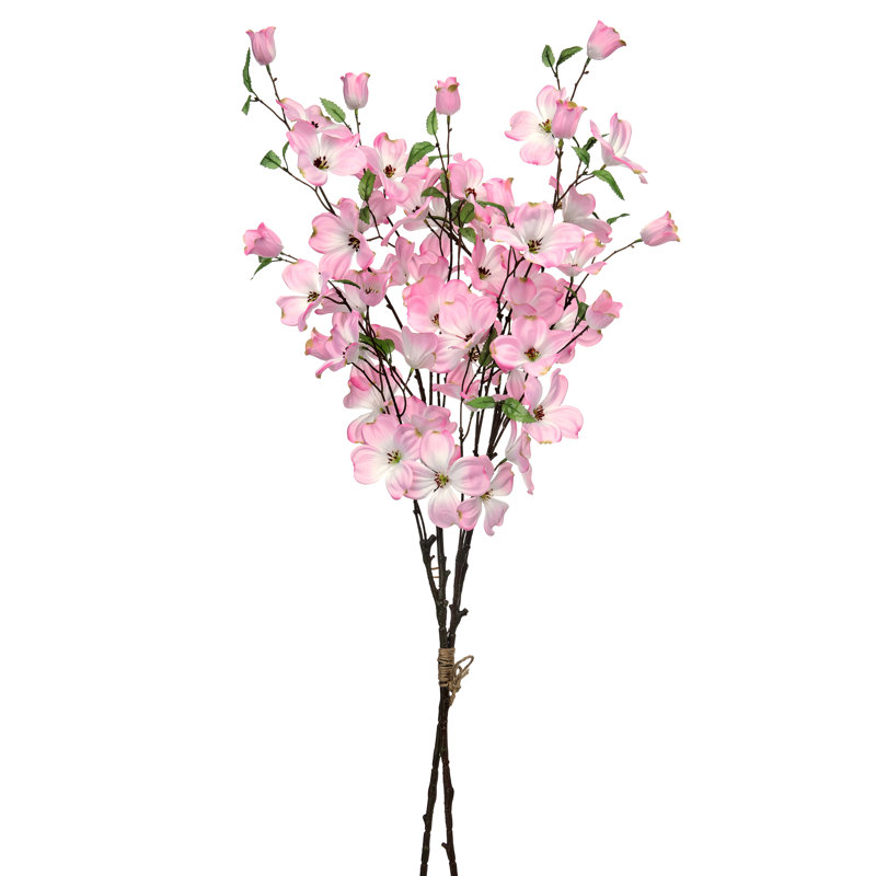 Ensemble de cornouiller Southern, Rose