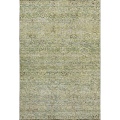 Premium Machine Washable Mayfield AMF2090 Global Rug