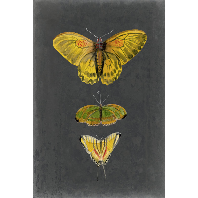 Papillons sur ardoise I, H 48 po x l 32 po x P 1 po