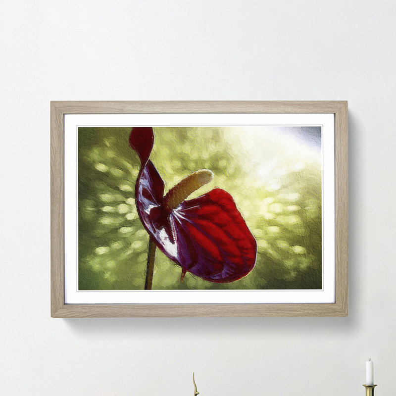 Red Anthurium Flower - Picture Frame Photograph Print, Oak Framed, 27cm H x 36cm W x 2cm D