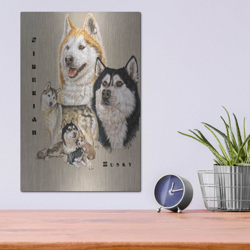 «Husky sibérien» par Barbara Keith, H 16 po x l 12 po
