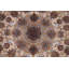 Tapis traditionnel floral 7 x 10