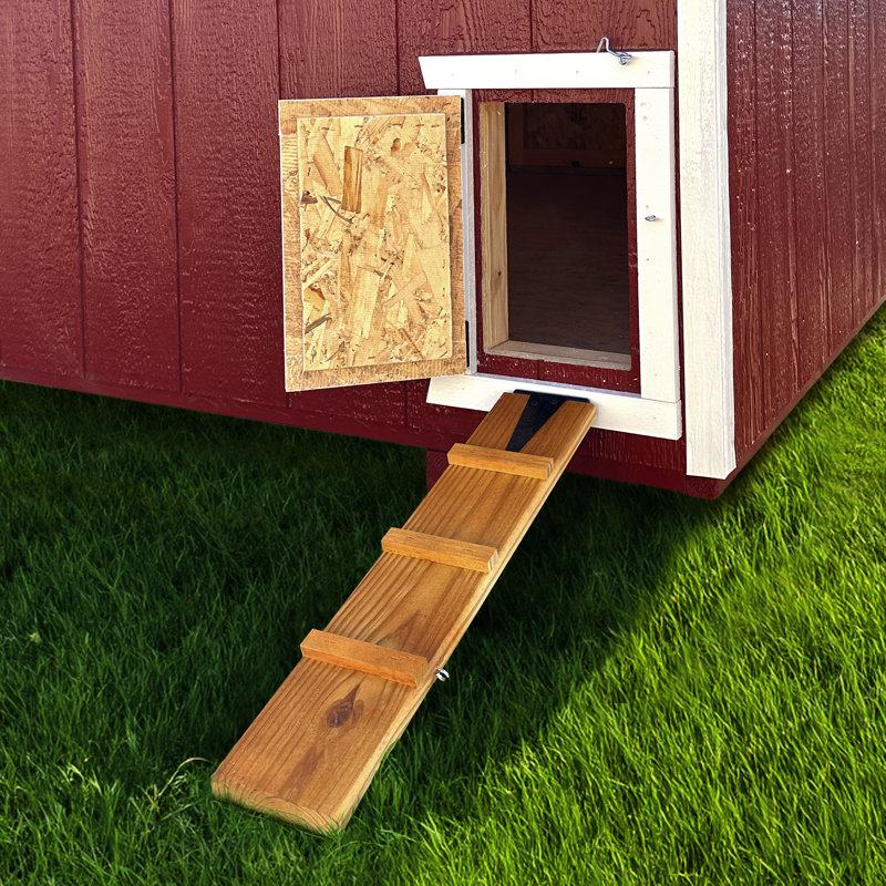 Value Walk in Chicken Coop with Nesting Box, 96" H x 96" W x 96" D