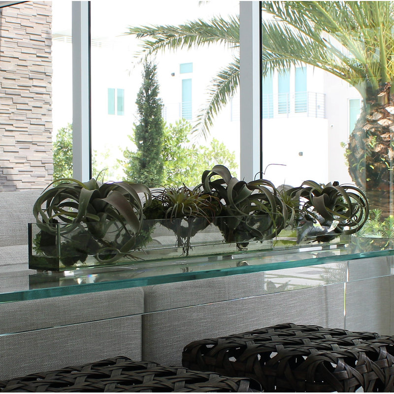 Casa Moderna Faux Succulent Plant in Glass Planter