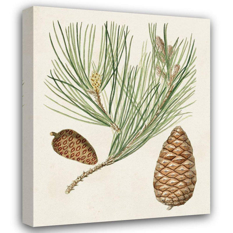 Art sur toile tendue, Millwood Pines, H 44 po x l 36 po